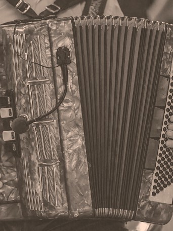 Close-up of the accordion’s bellows and bass buttons.
